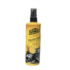 FORMULA 1 - PROTECTANT PLASTIC 315ml